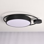 Потолочный светильник DESTIN D40 Black ImperiumLoft 140641-26