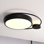 Потолочный светильник DESTIN D40 Black ImperiumLoft 140641-26