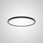 Потолочный светильник EXTRASLIM D40 Black ImperiumLoft 140667-26