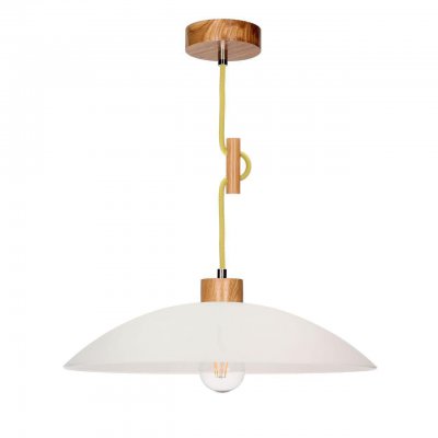 Подвесной светильник Spot Light Jona 1408270