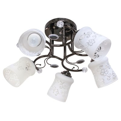 Люстра эконом Экономсвет 1409LM/5BK WT