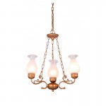 Люстра Favourite 1421-4PC