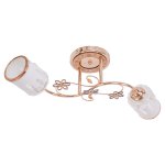 Люстра эконом Экономсвет 1421YX/2FGD WT