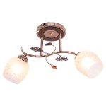 Люстра эконом Экономсвет 1425YX/2FGD WT