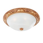 Светильник потолочный Favourite 1447-4C Plafond