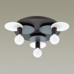 Потолочный светильник ANSEL ImperiumLoft 151502-26