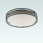 Люстра Favourite 1516-3C Moon