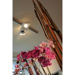 SLV 152581 LYNAH Spot, weiss, 2x10W LED, inkl. 3P.-Adapter