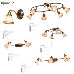 Светильник поворотный спот Citilux CL511523 Прованс