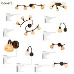 Светильник поворотный спот Citilux CL520521 Соната