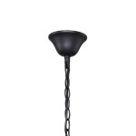 Люстра черная Favourite 1571-5P