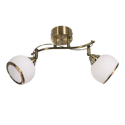 Спотовый светильник 1600/2AB MK ЭкономСвет