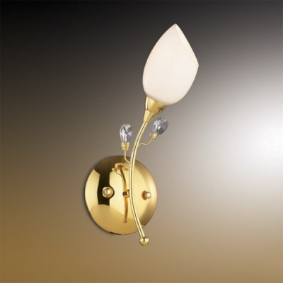 Светильник настенный бра Odeon light 1604/1w Fiera