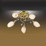 Люстра Odeon light 1604/5 FIERA