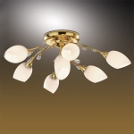 Люстра Odeon light 1604/7 FIERA