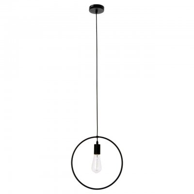 Подвесной светильник Spot Light Carsten 1650104