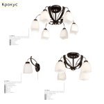 Светильник настенный бра Citilux CL128311 Крокус