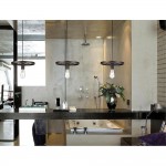 Люстра Favourite 1654-1P Fahrrad