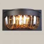 Настенный светильник Favourite 1657-2W Amber