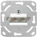 Gira Мех Розетка компьютерная 2-ая наклонная 6 кат (G16600)