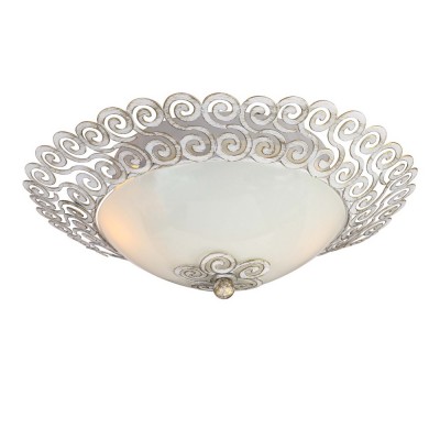 Потолочный светильник Favourite 1669-2C Dina