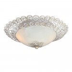 Потолочный светильник Favourite 1669-2C Dina