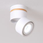 Точечный светильник AGENDA WOOD ImperiumLoft 167284-26