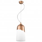 Подвесной светильник Spot Light Daga 1676113