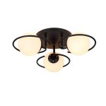 Потолочная люстра PALLA ImperiumLoft 167750-26