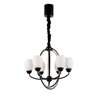 Люстра светодиодная Экономсвет 16808/6BK WT