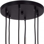 Подвесная люстра Favourite 1683-6P Bibili