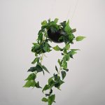 Подвесной светильник PALMA Wall lamp 2 шара + 1 вазон ImperiumLoft 168491-22