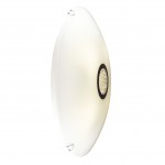 Потолочная люстра Favourite 1694-4C Funken