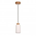 Подвесной светильник Spot Light Bosco 1711174