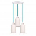 Подвесная люстра Spot Light Bosco 1713532