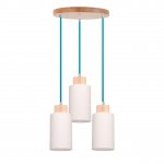 Подвесная люстра Spot Light Bosco 1713560