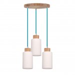 Подвесная люстра Spot Light Bosco 1713574