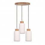 Подвесная люстра Spot Light Bosco 1714574