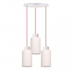 Подвесная люстра Spot Light Bosco 1715532