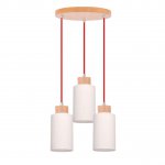 Подвесная люстра Spot Light Bosco 1716531