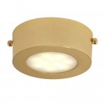 Потолочный светильник Favourite 1723-1C Lustige