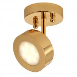 Потолочный светильник Favourite 1723-1U Lustige