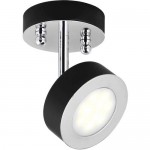 Потолочный светильник Favourite 1725-1U Lustige