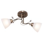 Потолочный светильник Экономсвет 1742YX/2AB WT