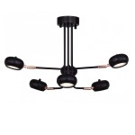 Люстра Favourite 1749-6U Ellisse