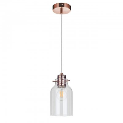 Подвесной светильник Spot Light Alessandro 1760113