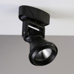 Потолочный светильник Favourite 1766-1U Projector