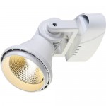 Потолочный светильник Favourite 1767-1U Projector