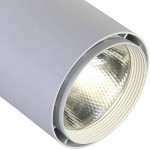 Потолочный светильник Favourite 1773-1U Projector