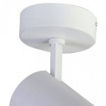 Потолочный светильник Favourite 1773-1U Projector